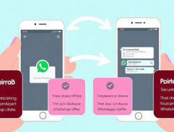 Panduan Memindahkan Data Dari Android Ke iPhone Tanpa Kehilangan Chat WhatsApp