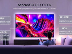 Review Smart TV Layar OLED Dengan Kualitas Gambar Yang Sangat Tajam